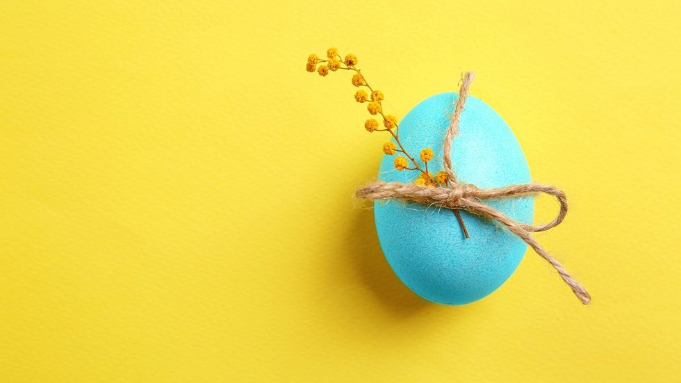 Easter egg with mimosa on color background Jajko wielkanocne